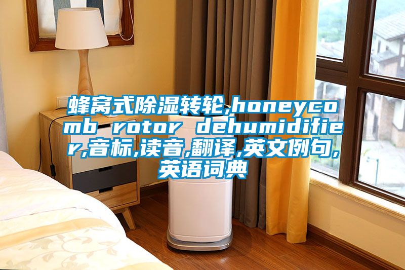 蜂窩式除濕轉(zhuǎn)輪,honeycomb rotor dehumidifier,音標(biāo),讀音,翻譯,英文例句,英語詞典