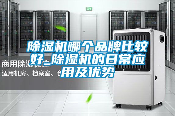 除濕機(jī)哪個品牌比較好_除濕機(jī)的日常應(yīng)用及優(yōu)勢
