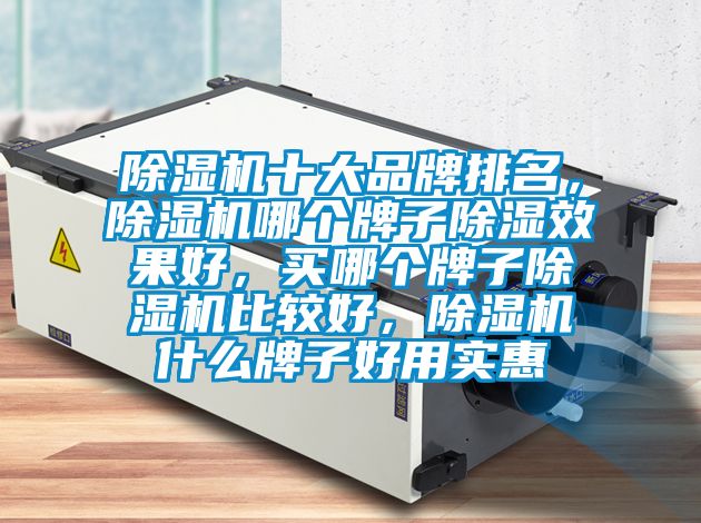 除濕機(jī)十大品牌排名，除濕機(jī)哪個牌子除濕效果好，買哪個牌子除濕機(jī)比較好，除濕機(jī)什么牌子好用實(shí)惠