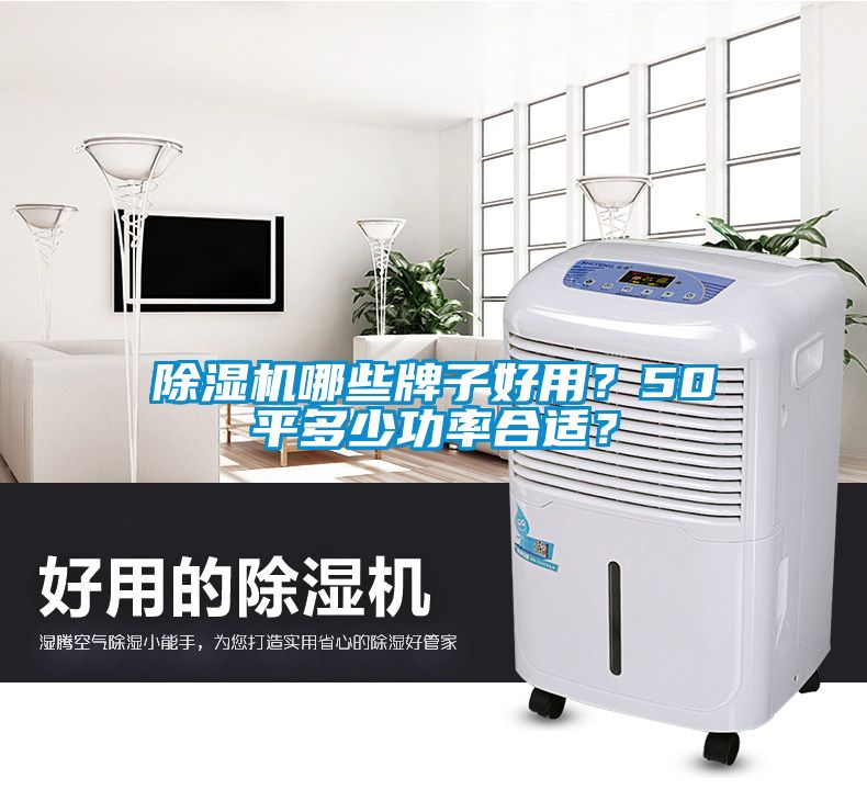 除濕機哪些牌子好用？50平多少功率合適？