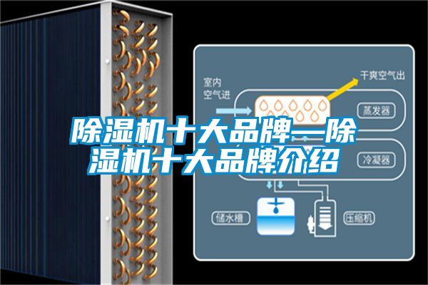 除濕機十大品牌—除濕機十大品牌介紹