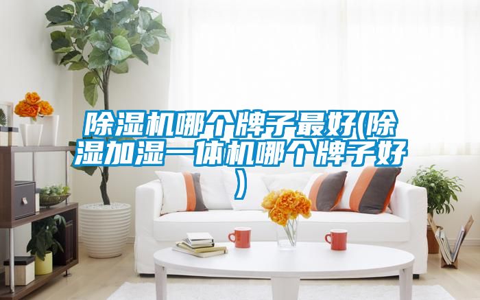 除濕機(jī)哪個(gè)牌子最好(除濕加濕一體機(jī)哪個(gè)牌子好)