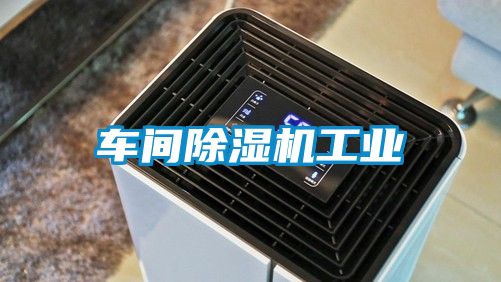 車間除濕機(jī)工業(yè)