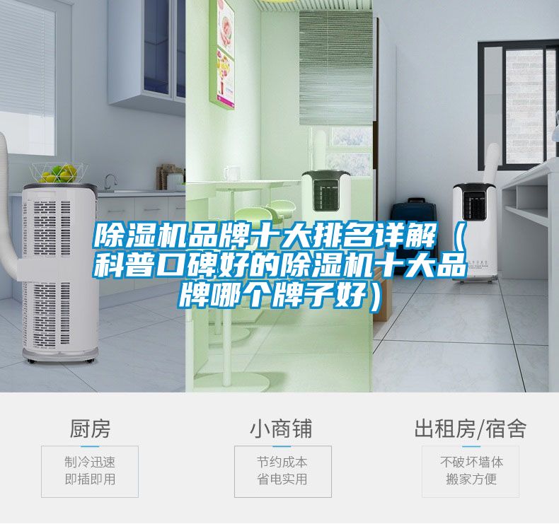 除濕機(jī)品牌十大排名詳解（科普口碑好的除濕機(jī)十大品牌哪個牌子好）