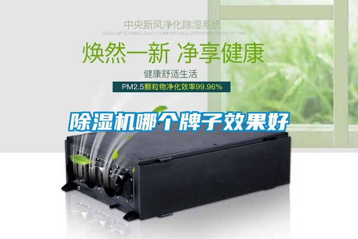 除濕機哪個牌子效果好
