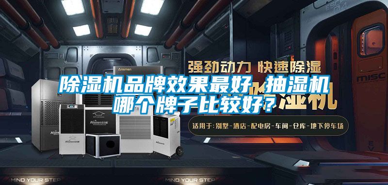 除濕機(jī)品牌效果最好 抽濕機(jī)哪個(gè)牌子比較好？
