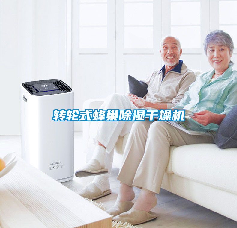 轉輪式蜂巢除濕干燥機