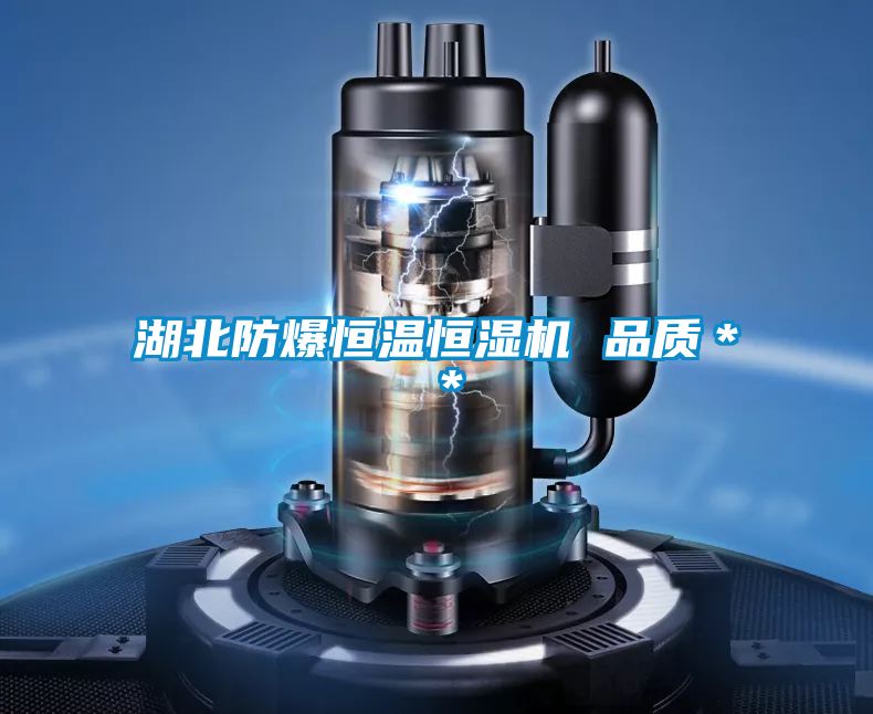 湖北防爆恒溫恒濕機(jī) 品質(zhì)＊＊