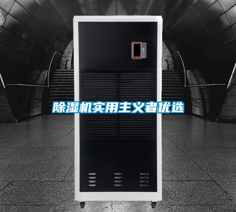 除濕機(jī)實(shí)用主義者優(yōu)選