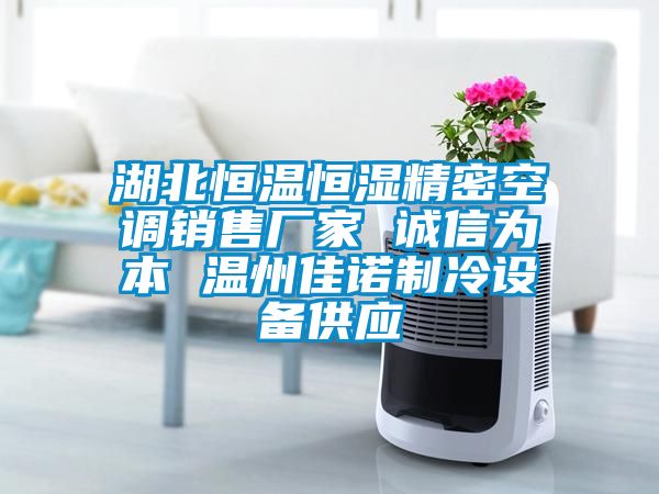 湖北恒溫恒濕精密空調(diào)銷售廠家 誠信為本 溫州佳諾制冷設(shè)備供應(yīng)