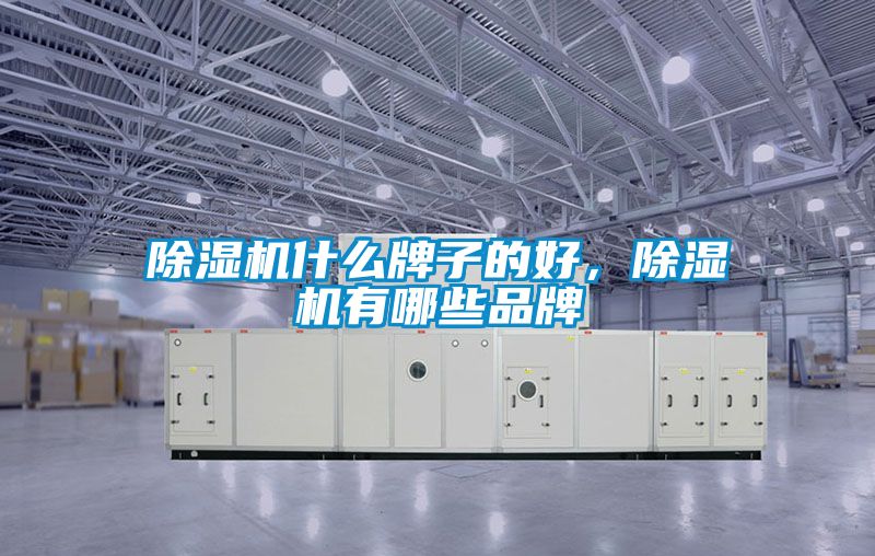 除濕機什么牌子的好，除濕機有哪些品牌