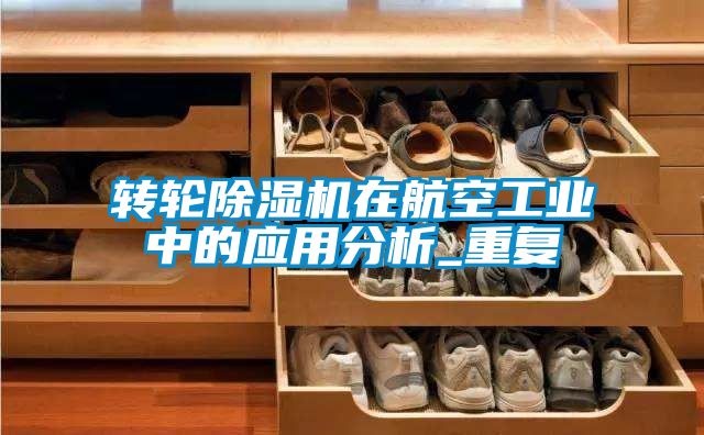 轉輪除濕機在航空工業(yè)中的應用分析_重復
