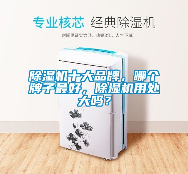 除濕機(jī)十大品牌，哪個(gè)牌子最好，除濕機(jī)用處大嗎？