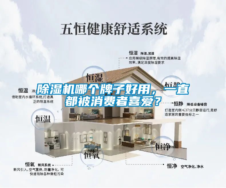 除濕機(jī)哪個(gè)牌子好用，一直都被消費(fèi)者喜愛？