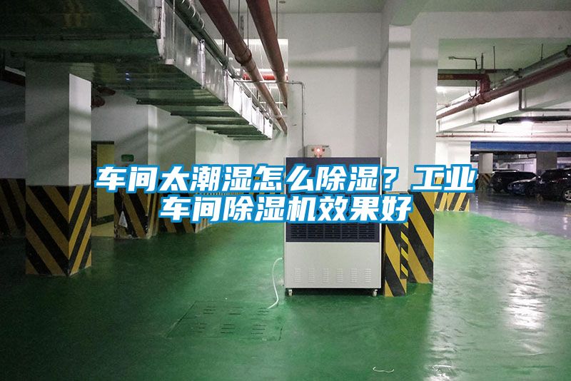 車間太潮濕怎么除濕？工業(yè)車間除濕機效果好