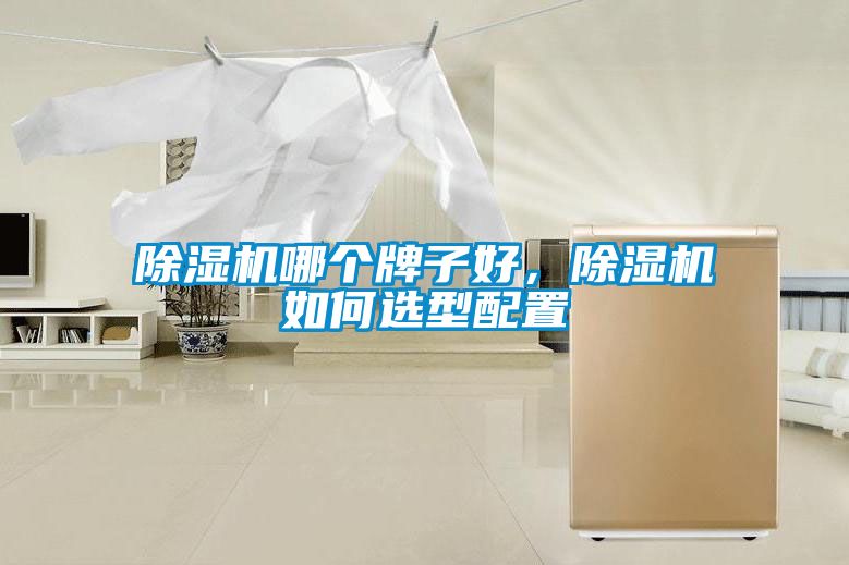 除濕機(jī)哪個(gè)牌子好，除濕機(jī)如何選型配置