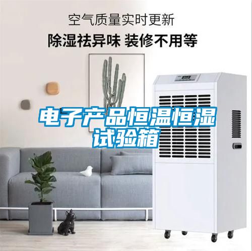 電子產(chǎn)品恒溫恒濕試驗(yàn)箱