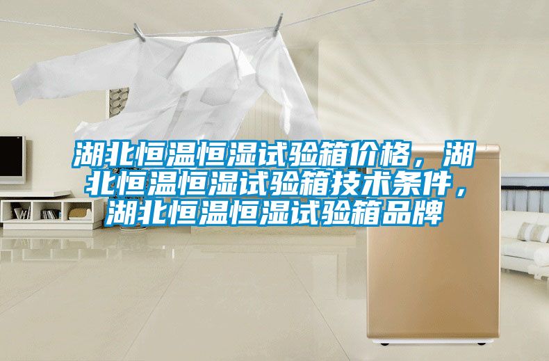 湖北恒溫恒濕試驗(yàn)箱價(jià)格，湖北恒溫恒濕試驗(yàn)箱技術(shù)條件，湖北恒溫恒濕試驗(yàn)箱品牌