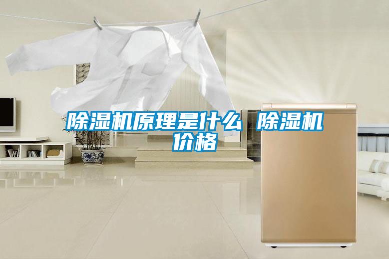 除濕機(jī)原理是什么 除濕機(jī)價格