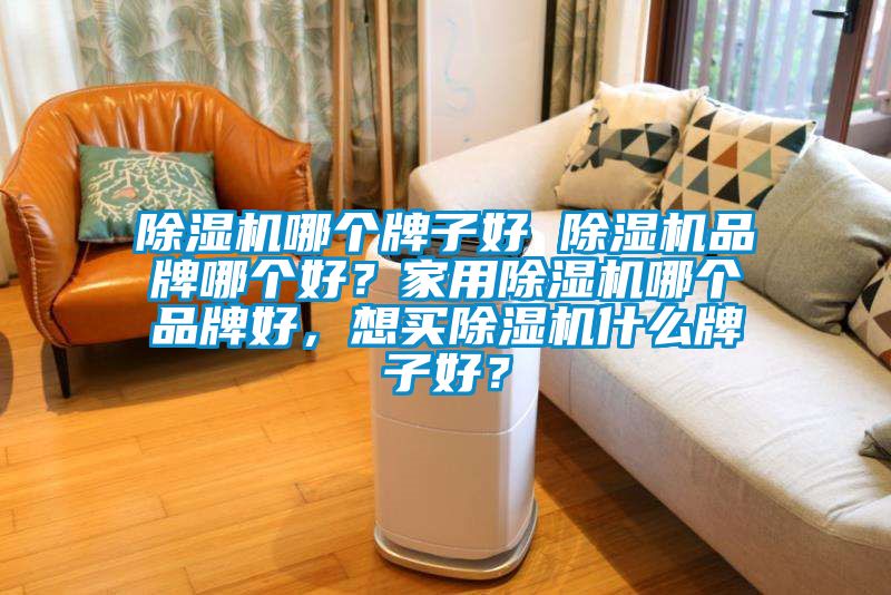 除濕機(jī)哪個(gè)牌子好 除濕機(jī)品牌哪個(gè)好？家用除濕機(jī)哪個(gè)品牌好，想買(mǎi)除濕機(jī)什么牌子好？
