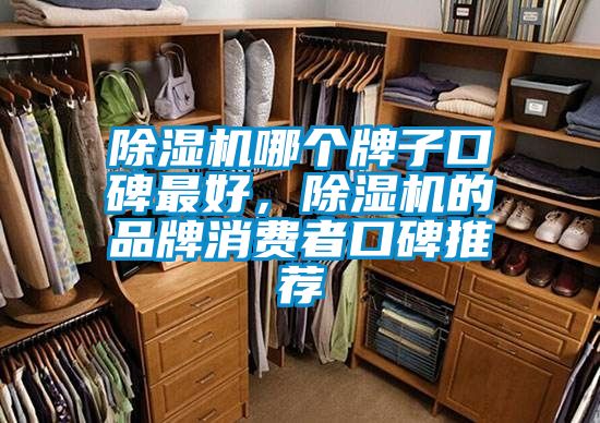 除濕機哪個牌子口碑最好，除濕機的品牌消費者口碑推薦