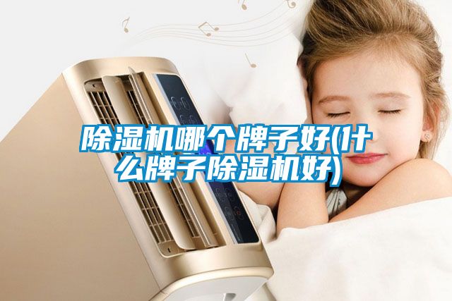 除濕機(jī)哪個牌子好(什么牌子除濕機(jī)好)