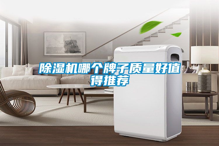 除濕機(jī)哪個(gè)牌子質(zhì)量好值得推薦