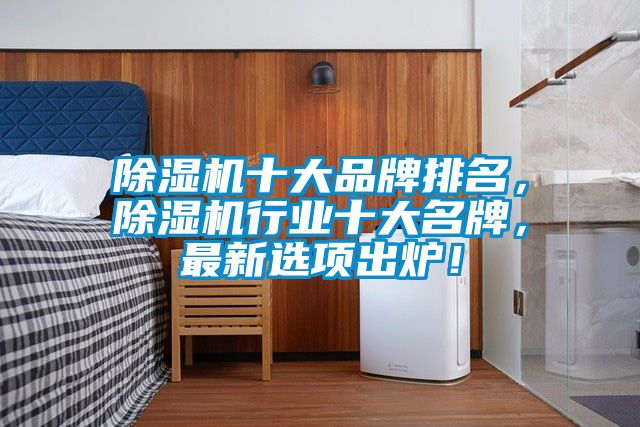 除濕機(jī)十大品牌排名，除濕機(jī)行業(yè)十大名牌，最新選項(xiàng)出爐！