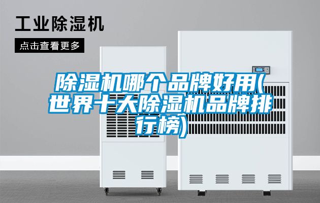 除濕機(jī)哪個(gè)品牌好用(世界十大除濕機(jī)品牌排行榜)