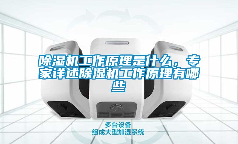 除濕機工作原理是什么，專家詳述除濕機工作原理有哪些