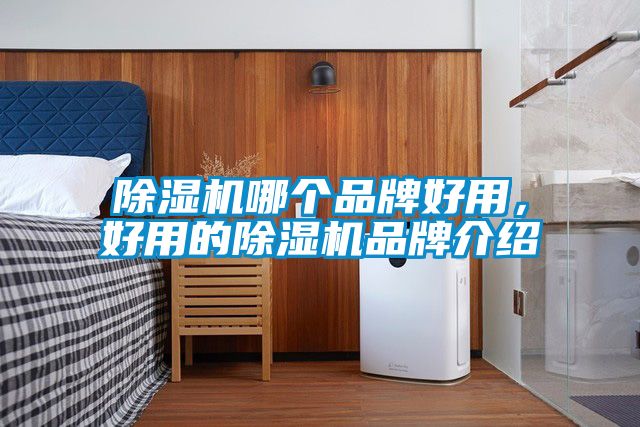 除濕機(jī)哪個(gè)品牌好用，好用的除濕機(jī)品牌介紹