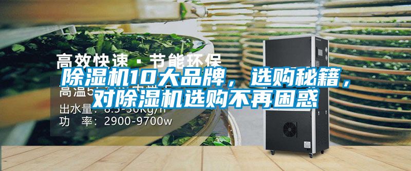 除濕機10大品牌，選購秘籍，對除濕機選購不再困惑