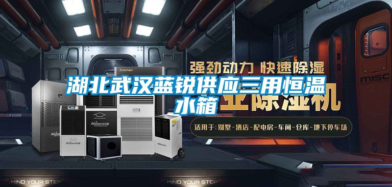 湖北武漢藍(lán)銳供應(yīng)三用恒溫水箱