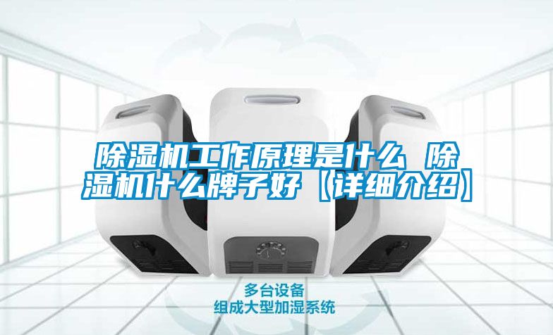 除濕機工作原理是什么 除濕機什么牌子好【詳細(xì)介紹】