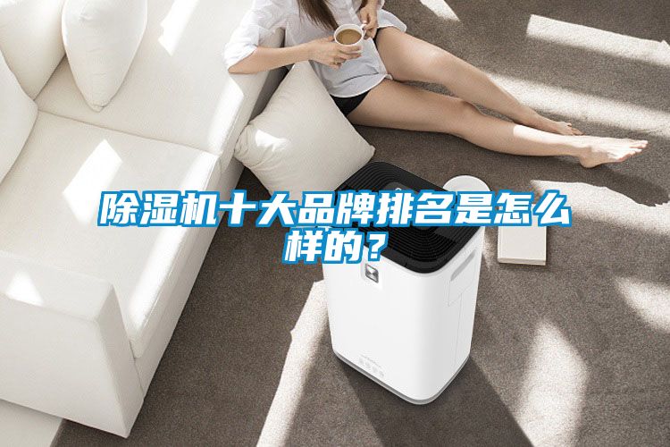 除濕機(jī)十大品牌排名是怎么樣的？