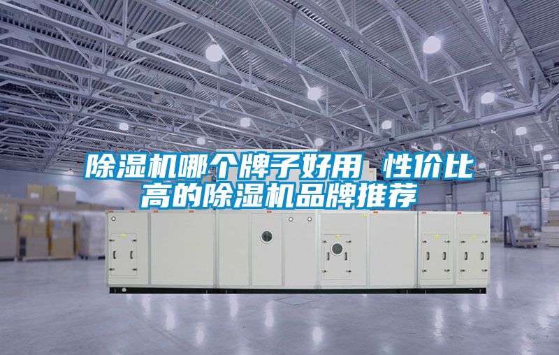 除濕機(jī)哪個(gè)牌子好用 性?xún)r(jià)比高的除濕機(jī)品牌推薦