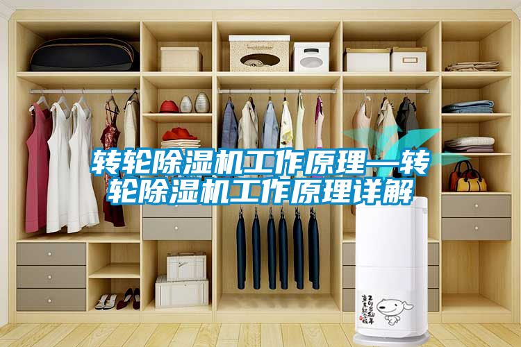 轉(zhuǎn)輪除濕機工作原理—轉(zhuǎn)輪除濕機工作原理詳解