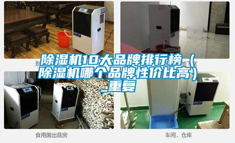 除濕機(jī)10大品牌排行榜（除濕機(jī)哪個品牌性價比高）_重復(fù)