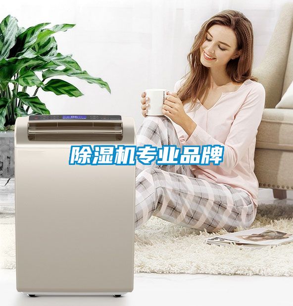 除濕機(jī)專業(yè)品牌