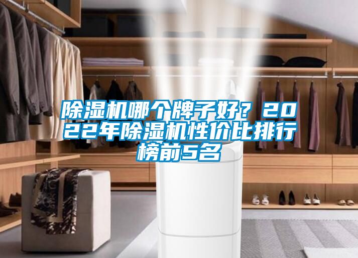 除濕機(jī)哪個(gè)牌子好？2022年除濕機(jī)性價(jià)比排行榜前5名
