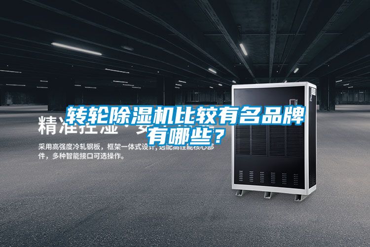 轉輪除濕機比較有名品牌有哪些？