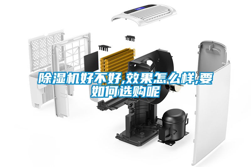除濕機好不好,效果怎么樣,要如何選購呢