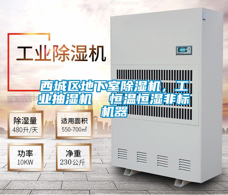 西城區(qū)地下室除濕機(jī)，工業(yè)抽濕機(jī)  恒溫恒濕非標(biāo)機(jī)器