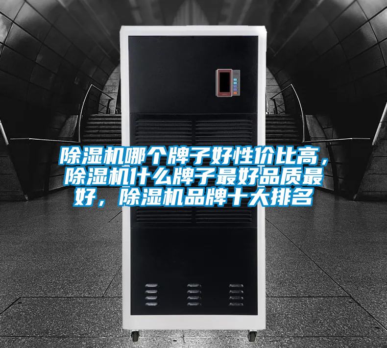 除濕機(jī)哪個(gè)牌子好性價(jià)比高，除濕機(jī)什么牌子最好品質(zhì)最好，除濕機(jī)品牌十大排名