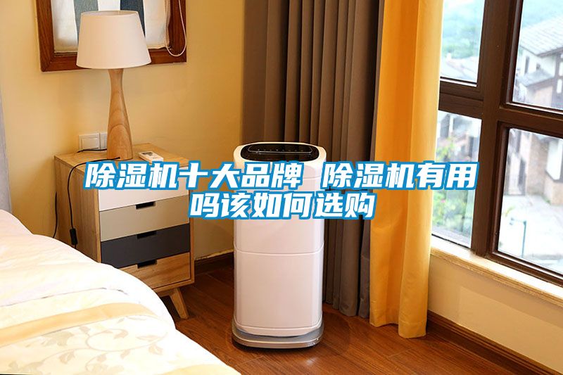 除濕機(jī)十大品牌 除濕機(jī)有用嗎該如何選購(gòu)