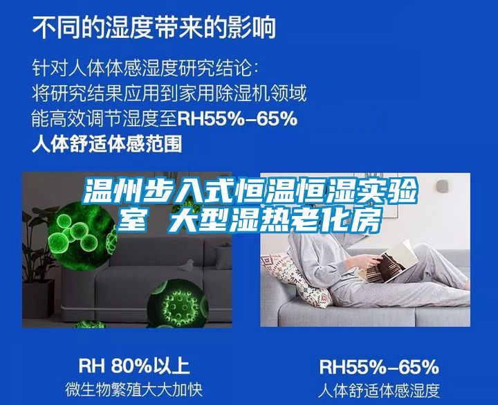 溫州步入式恒溫恒濕實(shí)驗(yàn)室 大型濕熱老化房