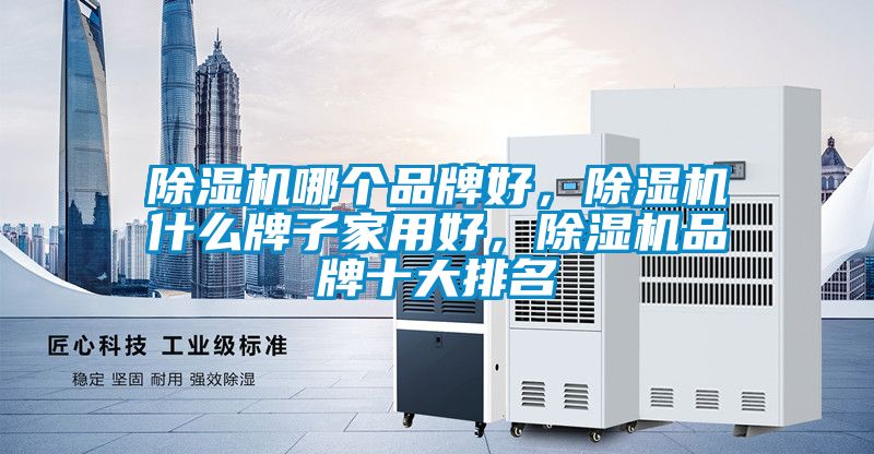 除濕機(jī)哪個品牌好，除濕機(jī)什么牌子家用好，除濕機(jī)品牌十大排名
