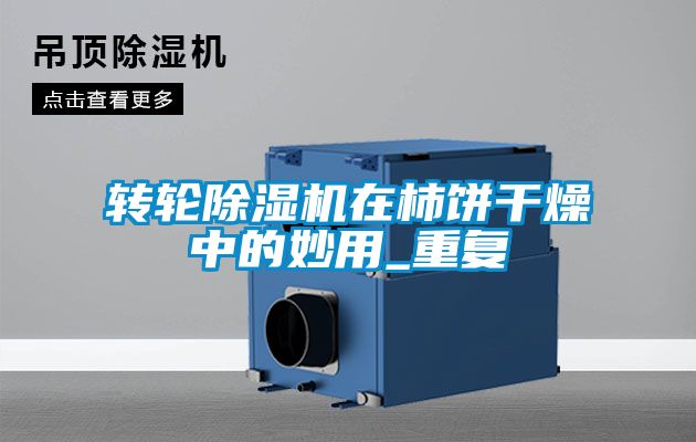 轉(zhuǎn)輪除濕機在柿餅干燥中的妙用_重復