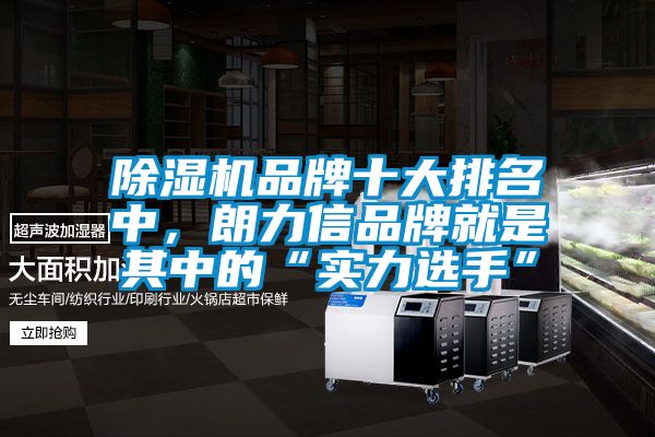除濕機品牌十大排名中，朗力信品牌就是其中的“實力選手”