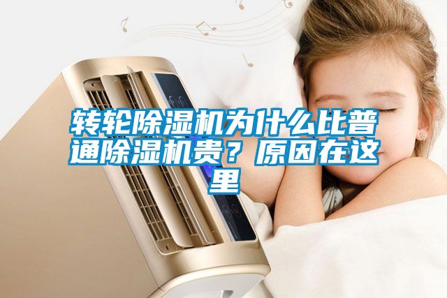 轉(zhuǎn)輪除濕機(jī)為什么比普通除濕機(jī)貴？原因在這里